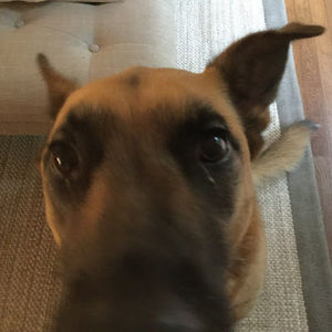 Meet your Posher, Mykoh